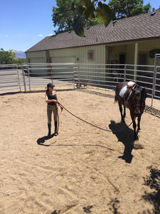 Lunging versus Groundwork