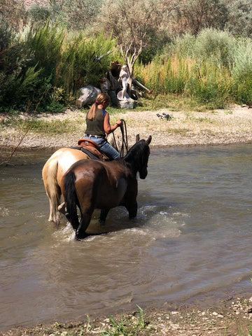 The Confident Connection: Unlock Unshakable Trust with Your Horse