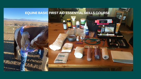 Basic First Aid for Horses Online Course