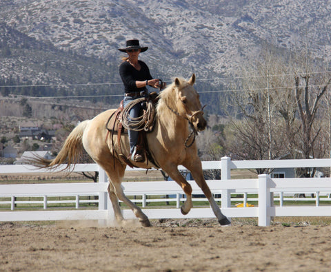 Special Package: Unleash the Power of Connection and Confidence Horsemanship Clinics