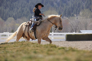 Cindy Hartzell canters a palomino horse in western tack and a rope halter bridle.