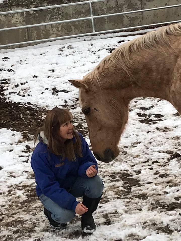 Cindy Hartzell communicates with a palomino horse while kneeling on the ground, head to head